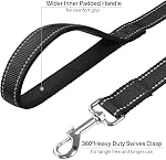 FunTags 6FT Black Reflective Dog Leash for Large & Medium Dogs Walking, Soft Padded Handle Comfortable Grip, Heavy Duty Nylon, Reflective for Night Walking, 1in Wide