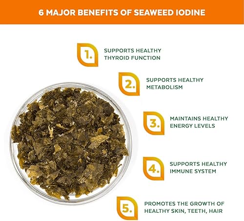 Vista 5 de Copos orgánicos de algas kombu - Algas marinas Young Baby cultivadas en el Atlántico Norte, calidad premium liofilizadas para un mayor contenido