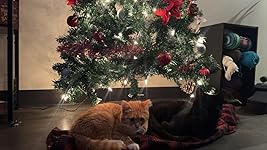 Review Image by Shayla Borst Shayla Borst