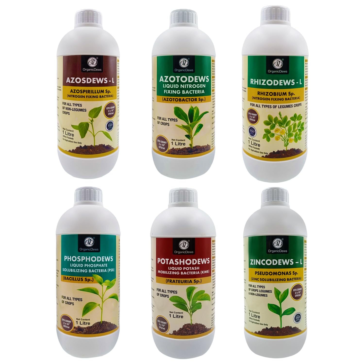 OrganicDews Azospirillum 1 Litre + Azotobacter 1 Litre + Rhizobium 1 Litre + PSB 1 Litre + KMB 1 Litre + Zinc Solublizing Bacteria 1 Litre COMBO - Increases Soil Fertility, Plant Growth & Yield (B0D3Y12BMV) Amazon Price History, Amazon Price Tracker