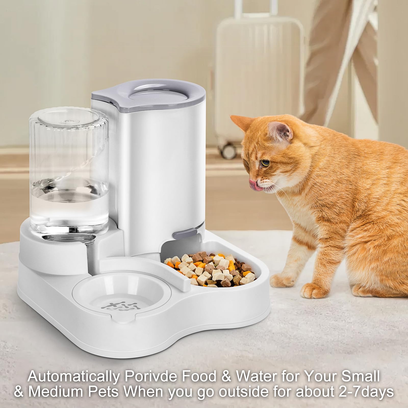 Distributeur d'eau et d'alimentation 2 en 1 pour animaux de compagnie, distributeur automatique de nourriture et d'eau pour chat, animal domestique de petite et moyenne taille