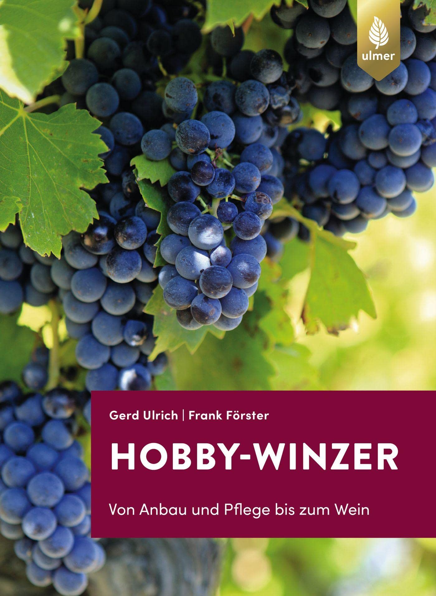 Hobby-Winzer: Von Anbau und Pflege bis zum Wein