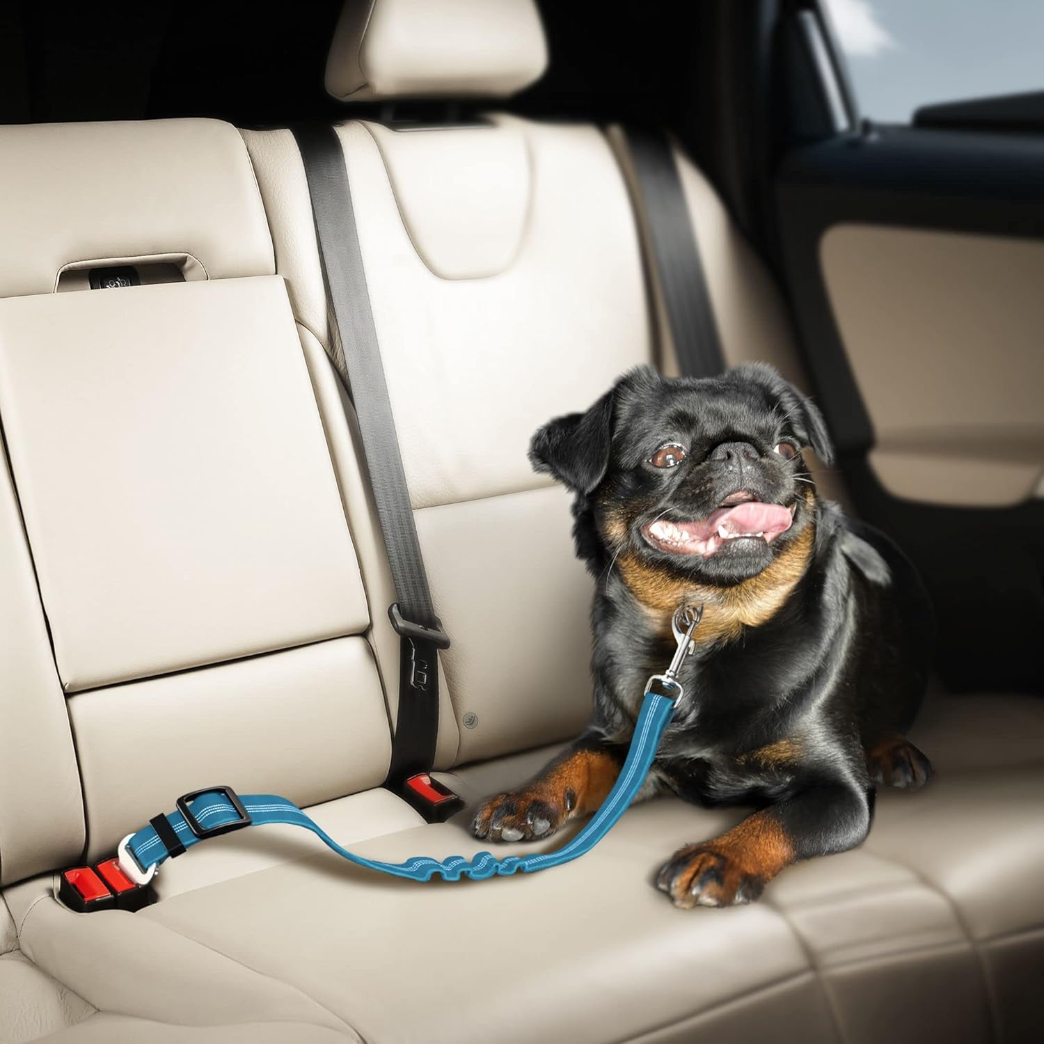Seat Belt for Dogs with Elastic Bungee Buffer | Car Travel Accessories for Dogs Adjustible, Elastic (Blue) : Pet Supplies