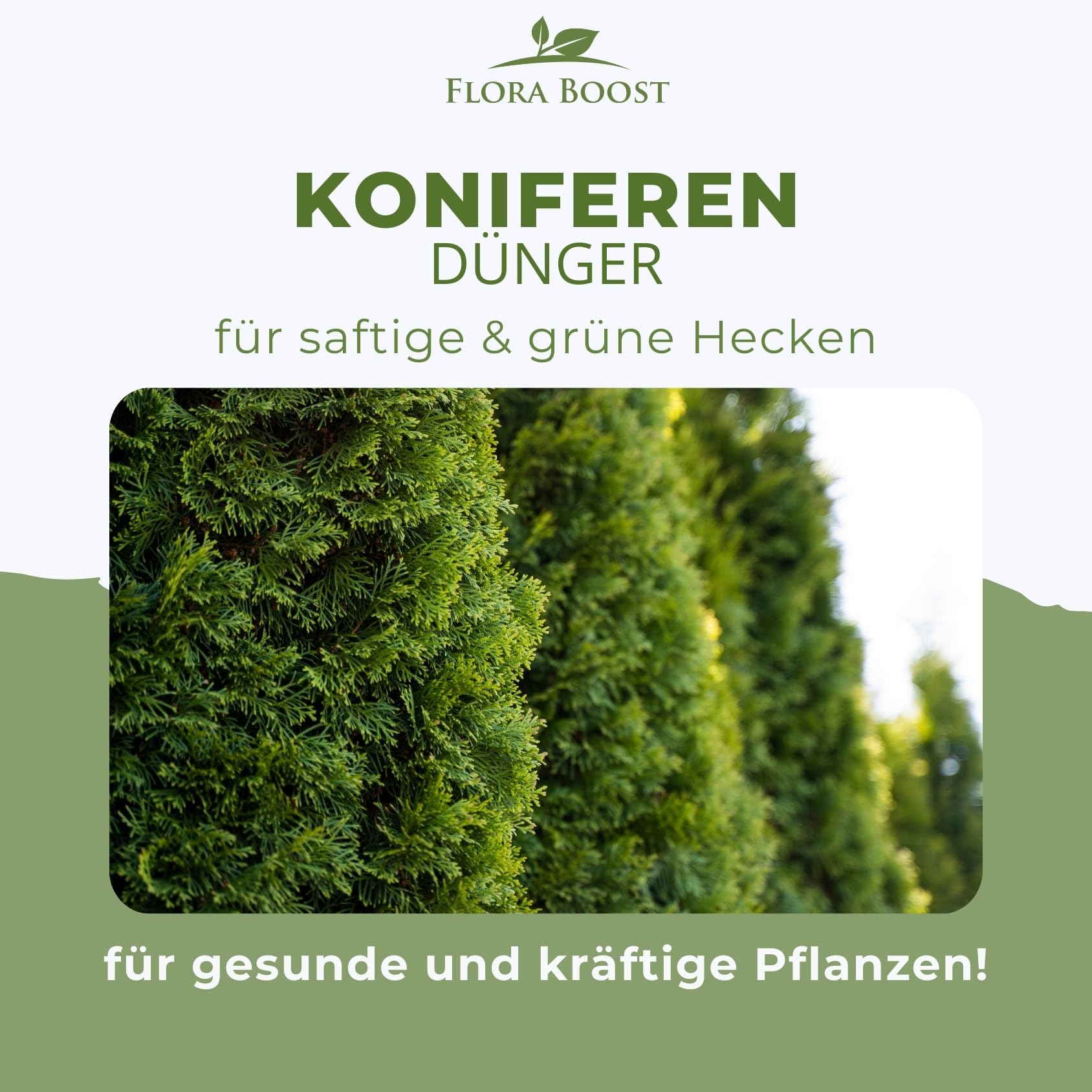 Konfitee Koniferen Dnger Flora Boost 1000ml I Fr bis zu 200L Giewasser I  Dnger fr Koniferen, Tannen & Thujen geeignet I Flssiger Blatt- &  Wurzeldnger I 100% natrlicher Pflanzendnger : Amazon.de: Garten