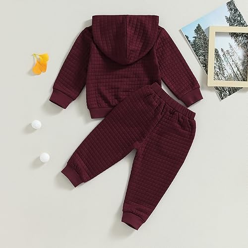 Miniatura 7 de Ledy Champswiin Ropa deportiva para bebé, niño, niña, color sólido, sudadera con capucha y pantalones