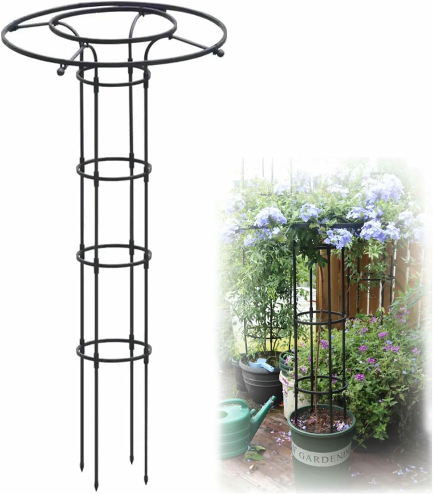 Support vertical wisteria robuste pour tuteurer vos rosiers grimpants
