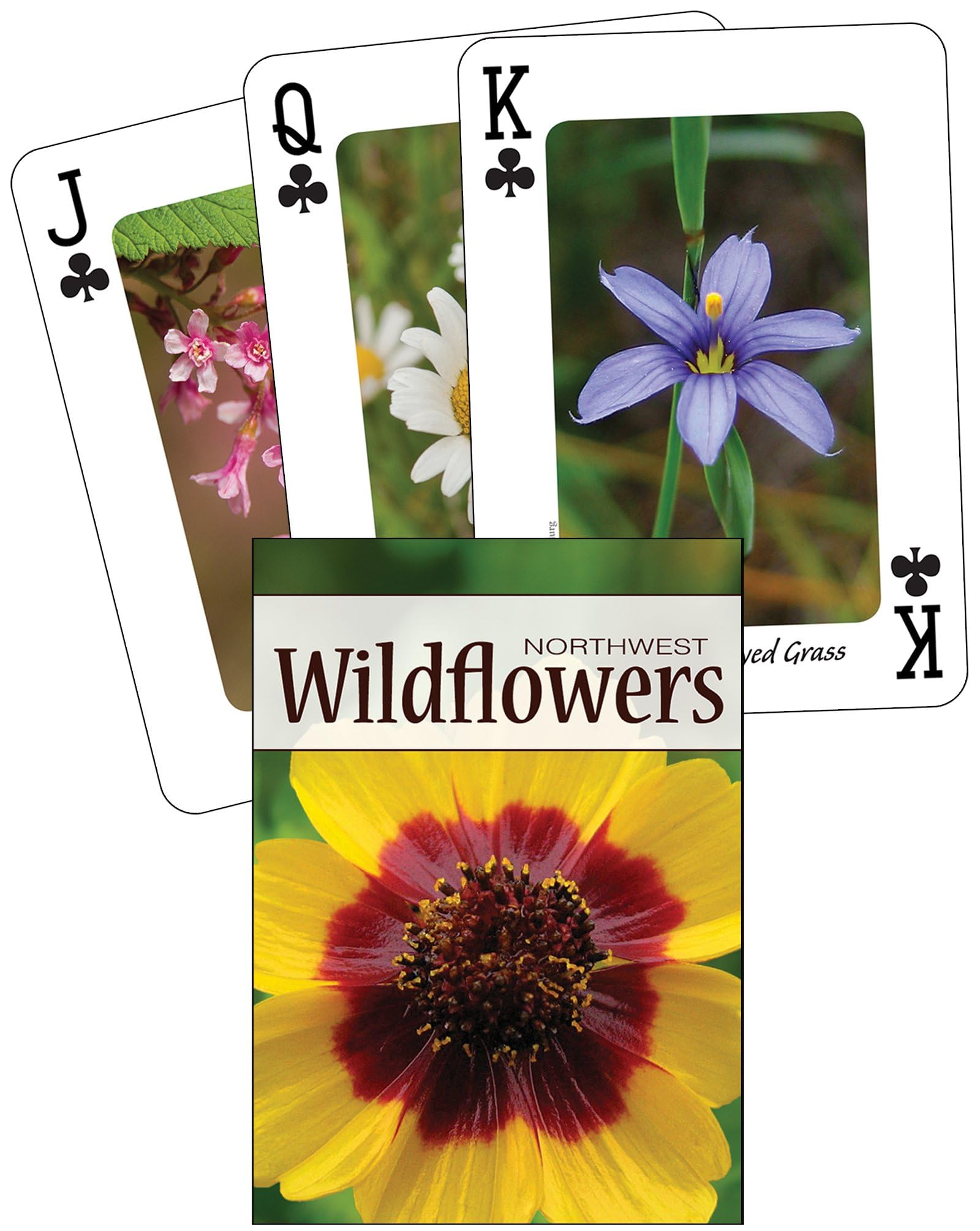 Wildflowers of the Northwest Playing Cards (Nature's Wild Cards)