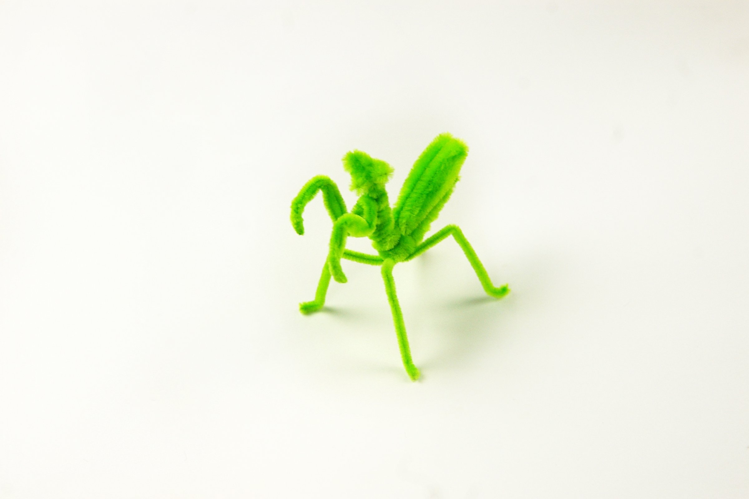 染色絵画 カマキリ 染色絵画 カマキリ カマキリ11.JPG