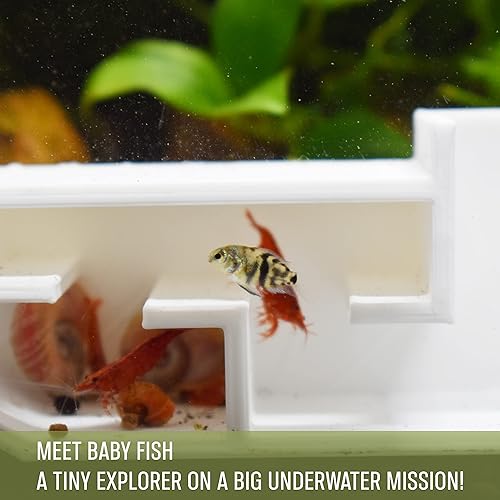 Miniatura 5 de 3DAquaticSolutions Túnel de fiesta de camarones de acuario, incluye exquisita habitación VIP y dos entradas, cueva de túnel para camarones y peces