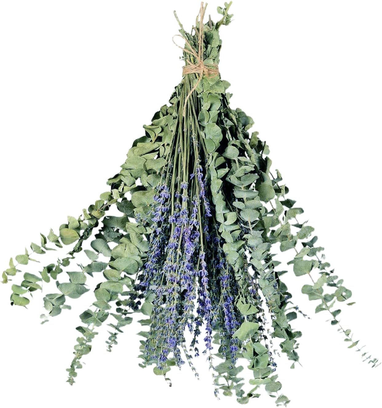 Teahutty 12 Pcs Dried Preserved Eucalyptus Stems & Lavender Flowers