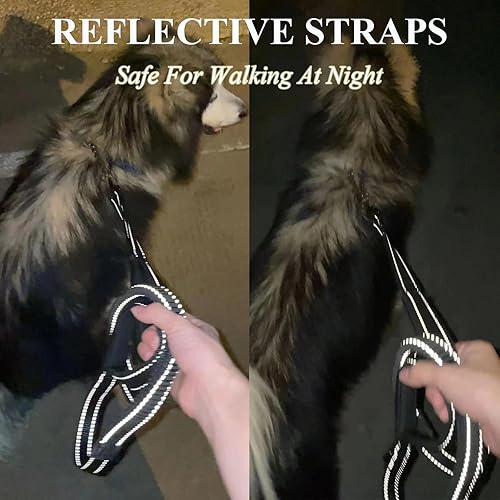 Miniatura 8 de ECO-CLEAN 300 bolsas para excrementos de perro con asas fáciles de atar, correa elástica de entrenamiento de perro de 6 pies para perros medianos y