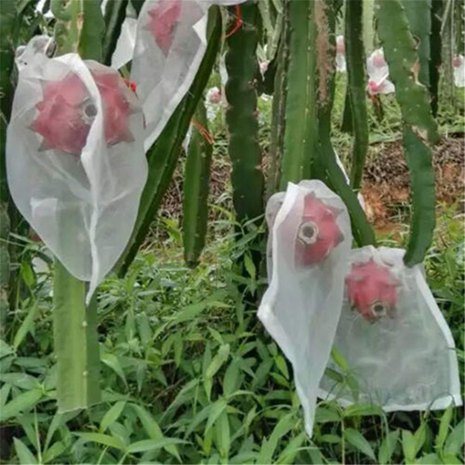 Paquete de 20 bolsas de malla transpirable para plantas de jardín, flores y frutas (21.5 x 14 pulgadas), bolsas duraderas resistentes a plagas y pájaros