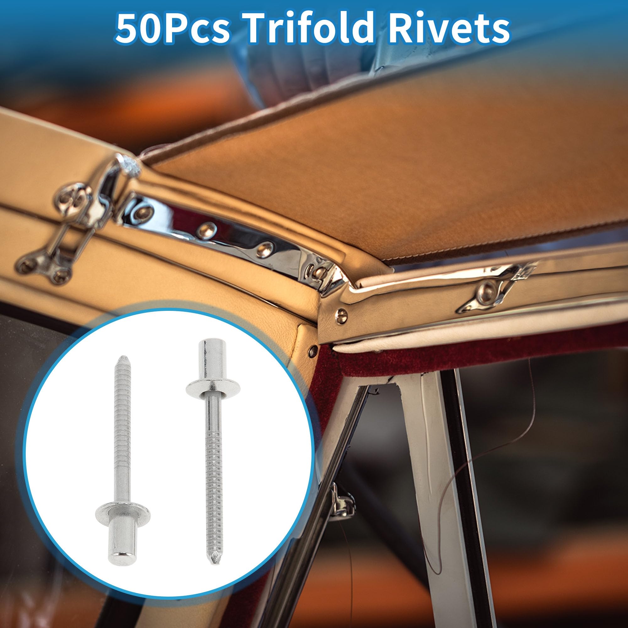 A ABSOPRO Dome Head Closed Sealing Rivets 4.8mm Grip Diameter 6mm Grip Length 9.5mm Flange Diameter Stainless Steel Silver Tone 50 Pcs - Image 2