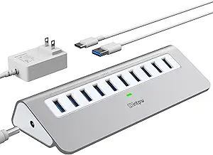 Powered USB Hub, intpw 10 Port USB 3.1 Hub with 10Gbps Data Transfer, 36W(12V/3A) Power Adapter, USB Type A and Type C Cable, Aluminum USB Hub for Laptop, MacBook and Desktop Computer