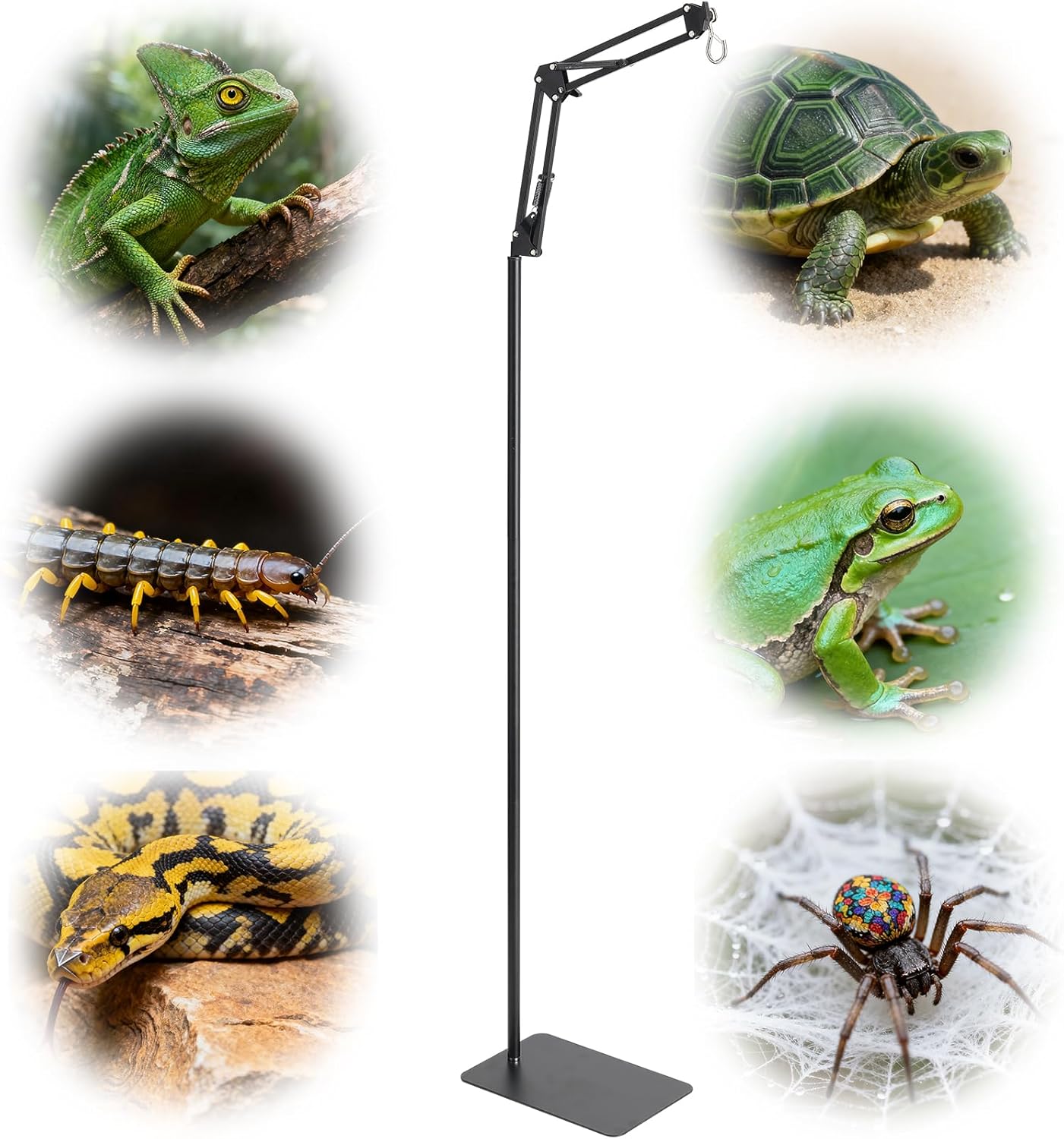 Ihomepark Reptile Lamp Stand, 15-46”Adjustable Heat Lamp Stand with 360°Rotating Arm & Heavy Duty Base, Floor Standing Reptile Light Holder for Bearded Dragon Turtles Snake and Chicks