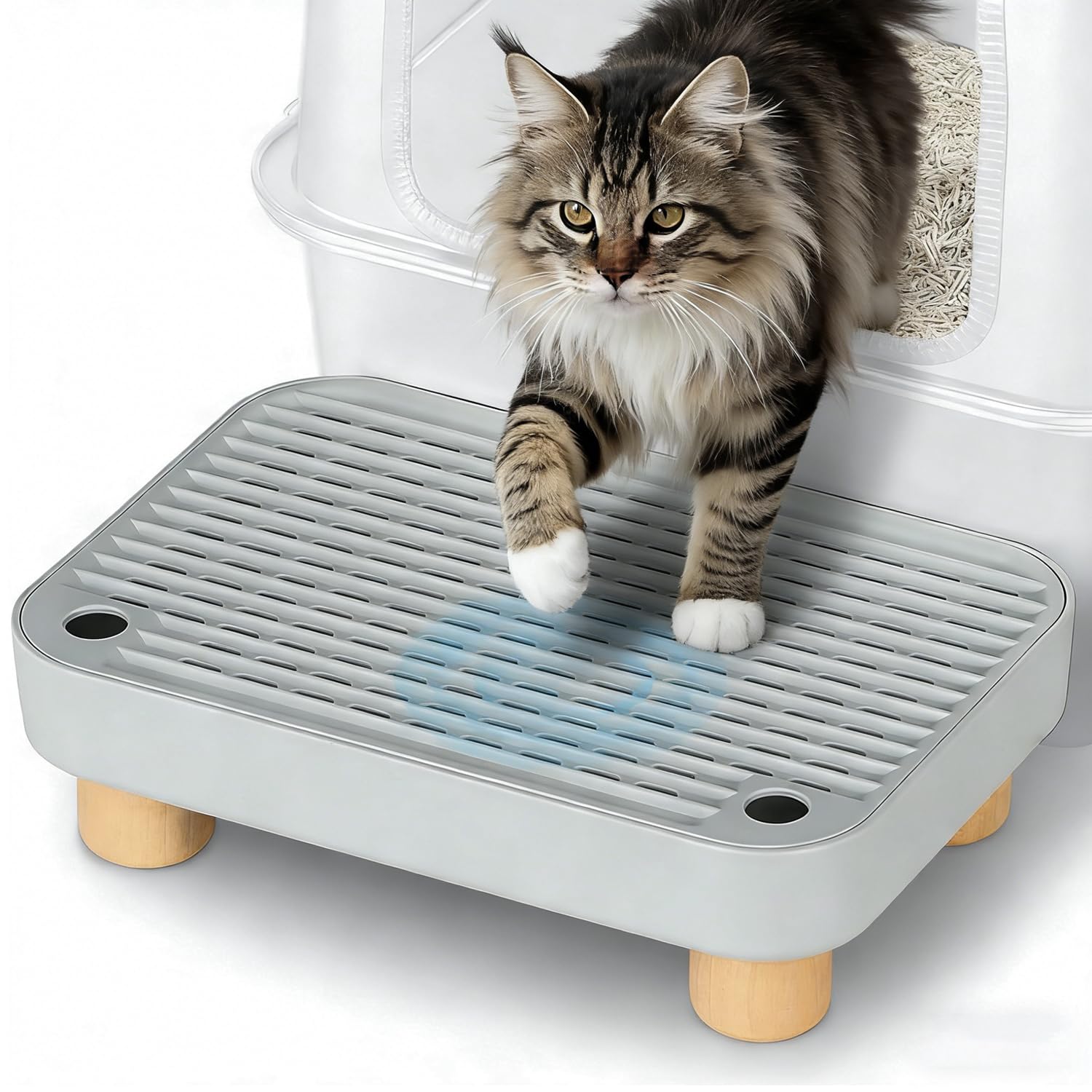 Marche pour bac à litière chat, tapis de marche toilette féline