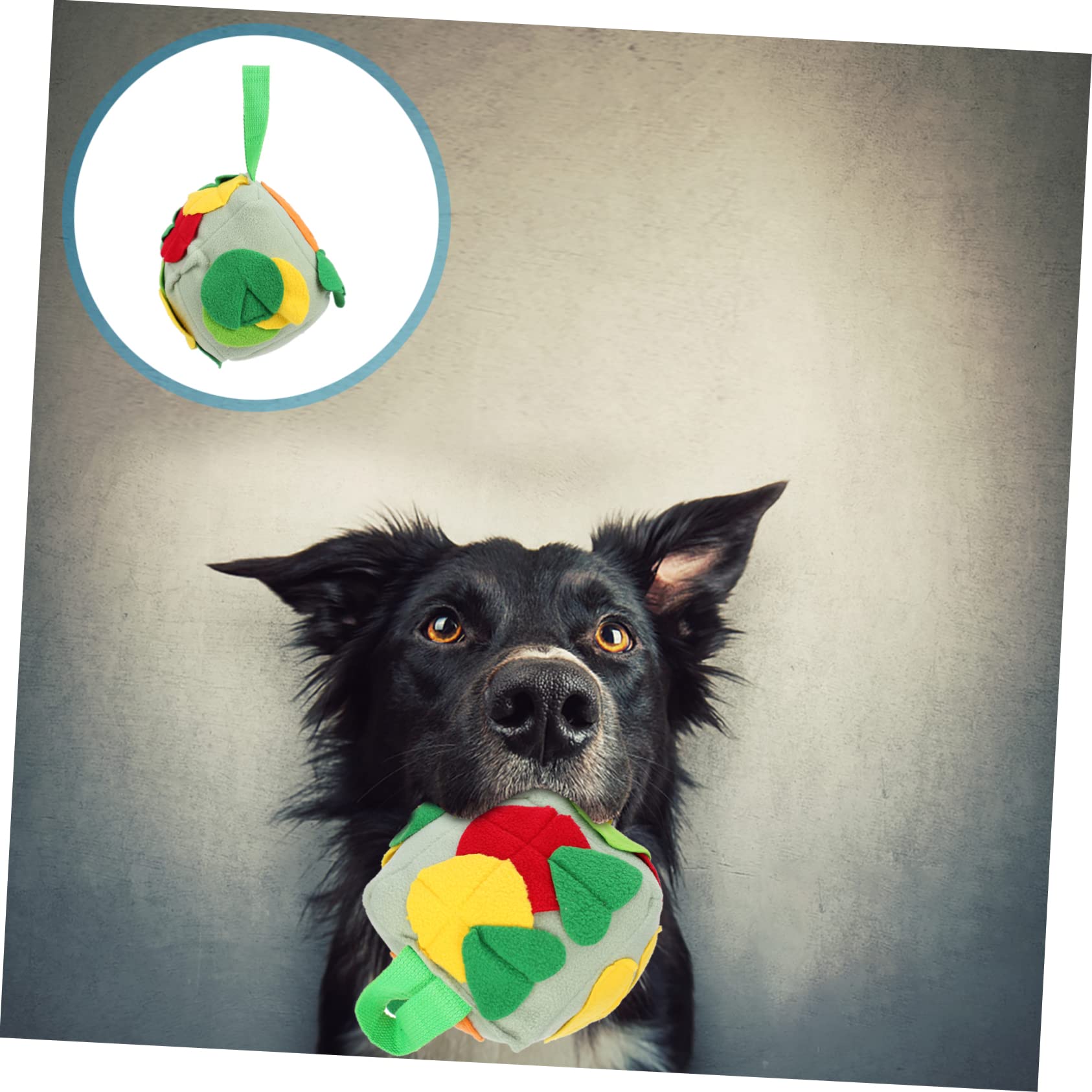 Amosfun 2stücke Hundeschnüffelball Interaktives Futterspielzeug Für Haustiere Kauspielzeug Zur Stimulierung Der Sinne Zum Spielen Und Füttern Für Kleine Und Große Hunde Frisches
