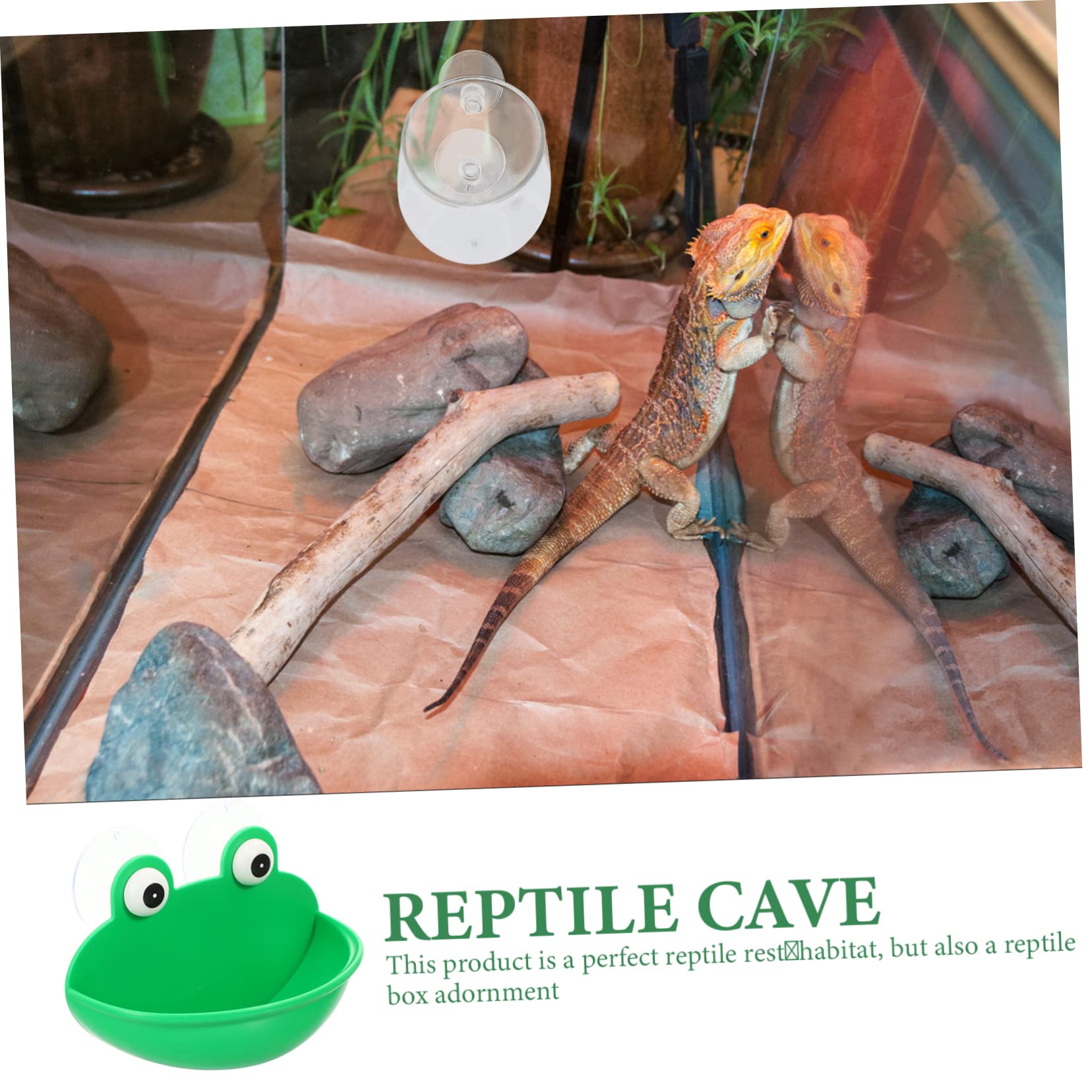 DOITOOL 6piezas Plataforma Decorativa para Reptiles Descanso y Alimentación Terrario Soporte Multifuncional para Reptiles y Mascotas Accesorios Seguros y Duraderos para Terrarios