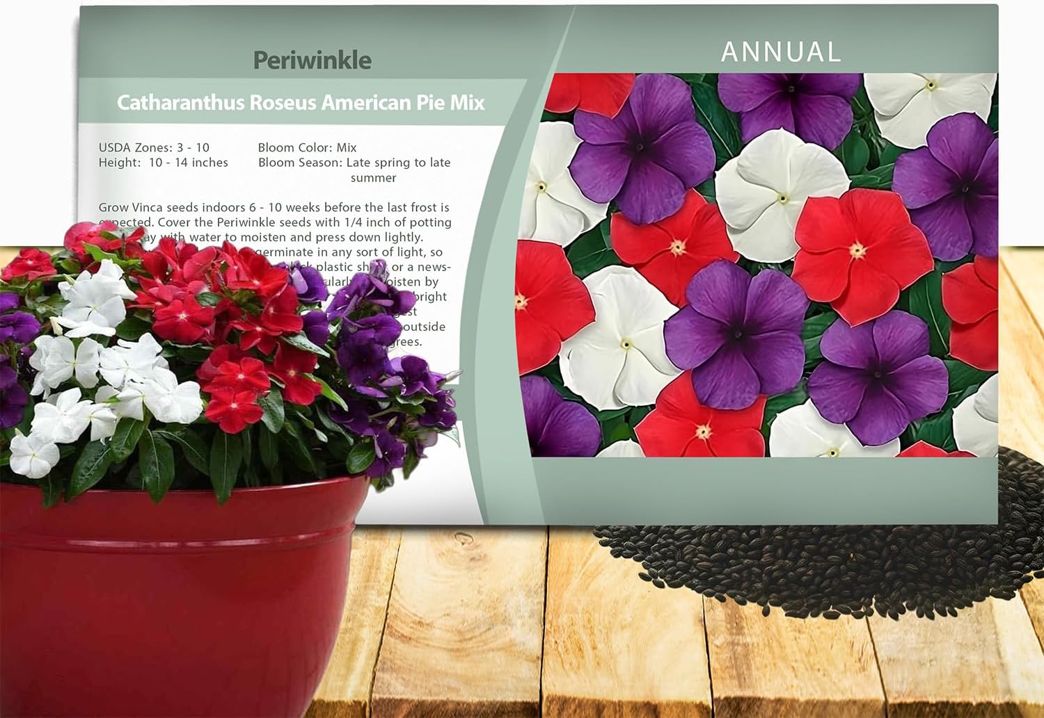 Vinca Periwinkle American Pie Flower Mix Seeds