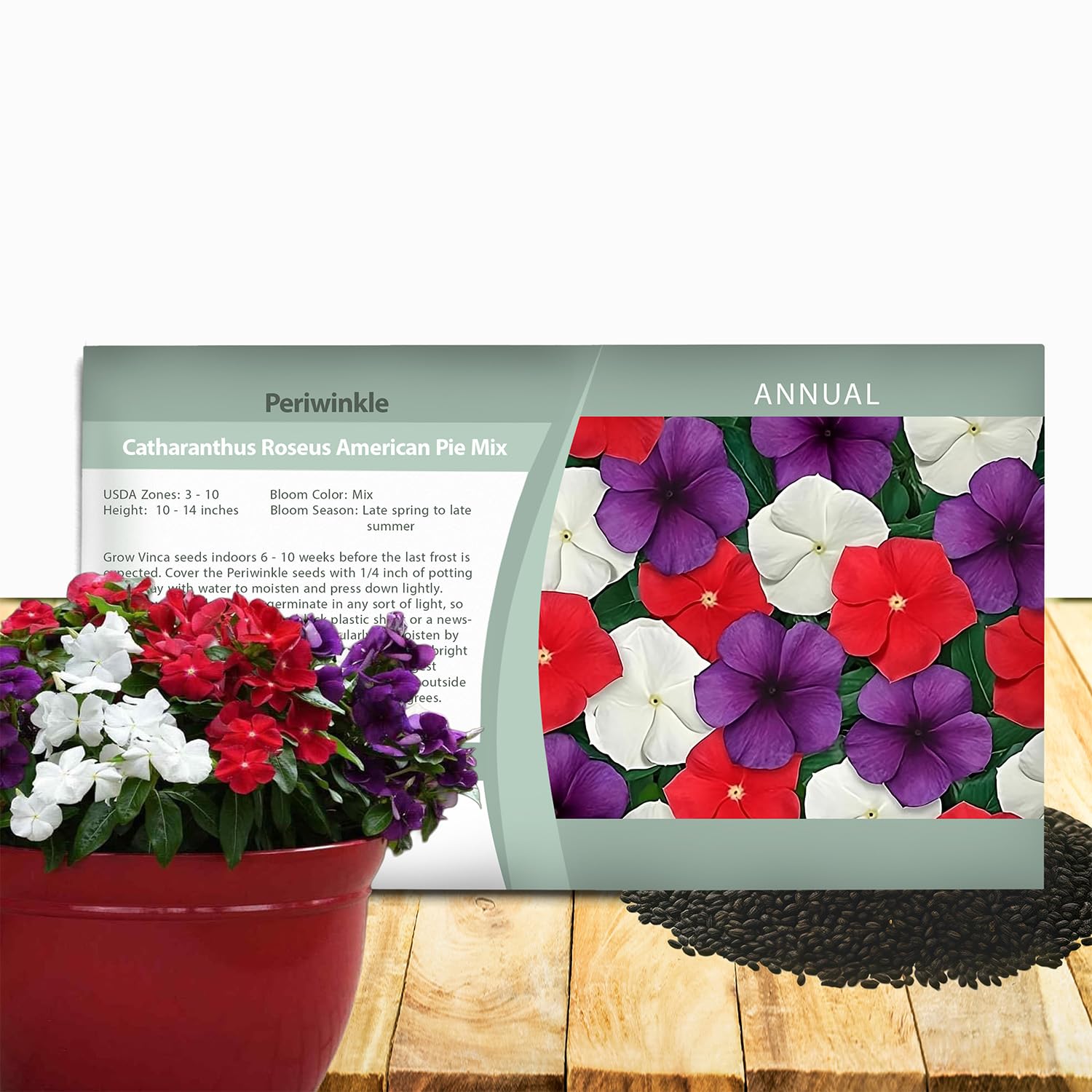 Outsidepride American Pie Mix Periwinkle Seeds for Planting – 50 Pcs Annual, Fast-Blooming, Heat & Drought Tolerant Vinca Flower Seeds with Vibrant Colors Ideal for Gardens, Beds & Containers