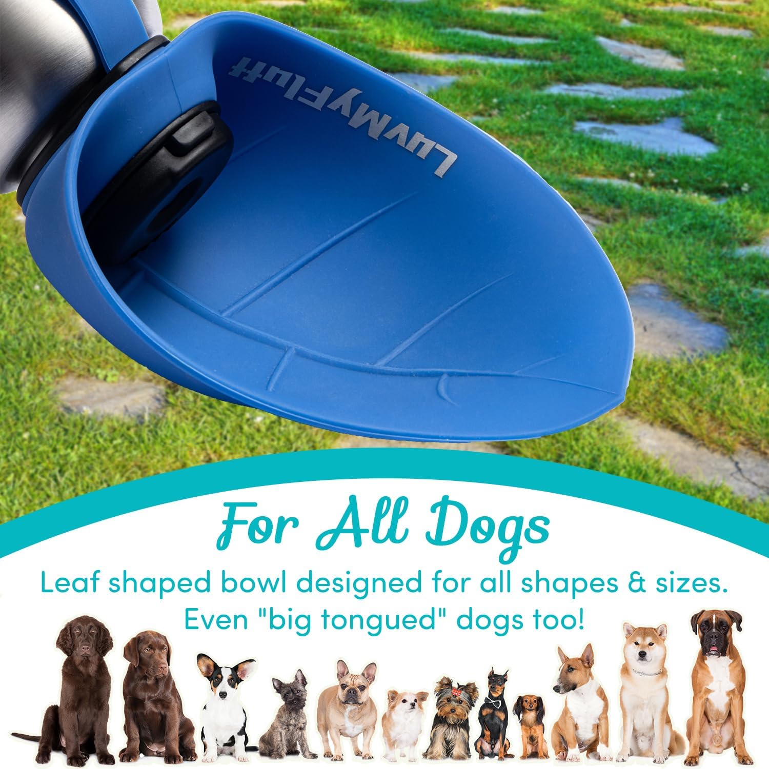 Foldout Dog Water Bottle (Stainless Steel 500ml - Ocean Blue) - Fold Out Bowl, Portable, Cool Drink Bottle for Dogs, Perfect for Walking, Hiking, Travel & Outdoor Activities