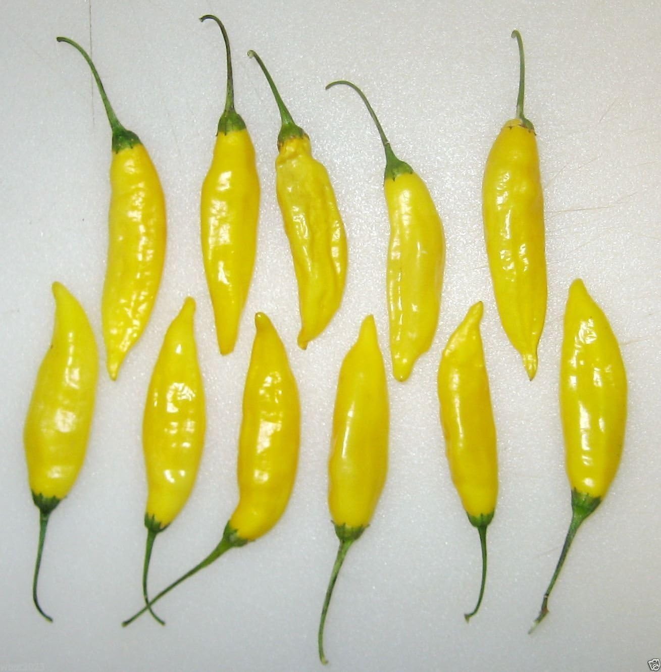 Aji Lemon Drop Peppers Seeds, Distinctive Citrus Flavor, Bright Yellow Color
