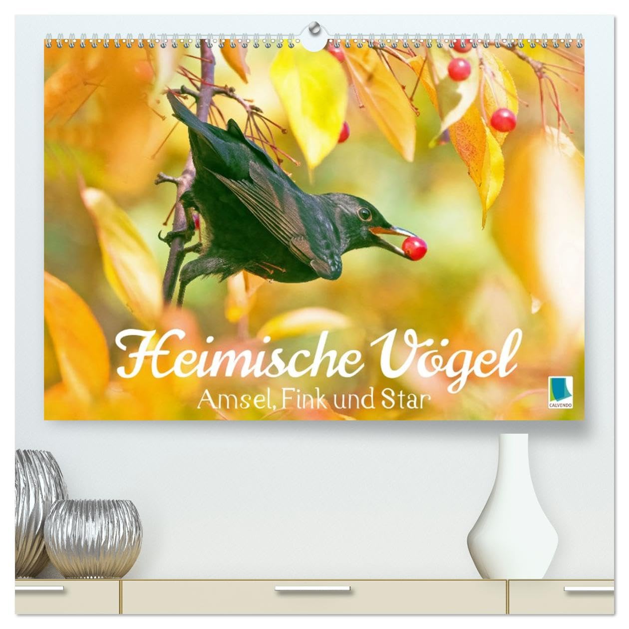 Amsel, Fink und Star: Heimische Vögel (hochwertiger Premium Wandkalender 2026 DIN A2 quer), Kunstdruck in Hochglanz: So vielfältig ist die heimische Vogelwelt (CALVENDO Tiere)