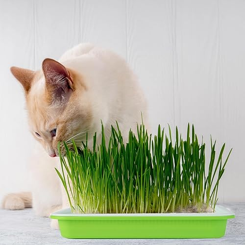 Miniatura 6 de Paquete de 10 bandejas de germinado de semillas, kit de cultivo de microgreens sin BPA, bandeja de guardería de gran capacidad, kit de cultivo de