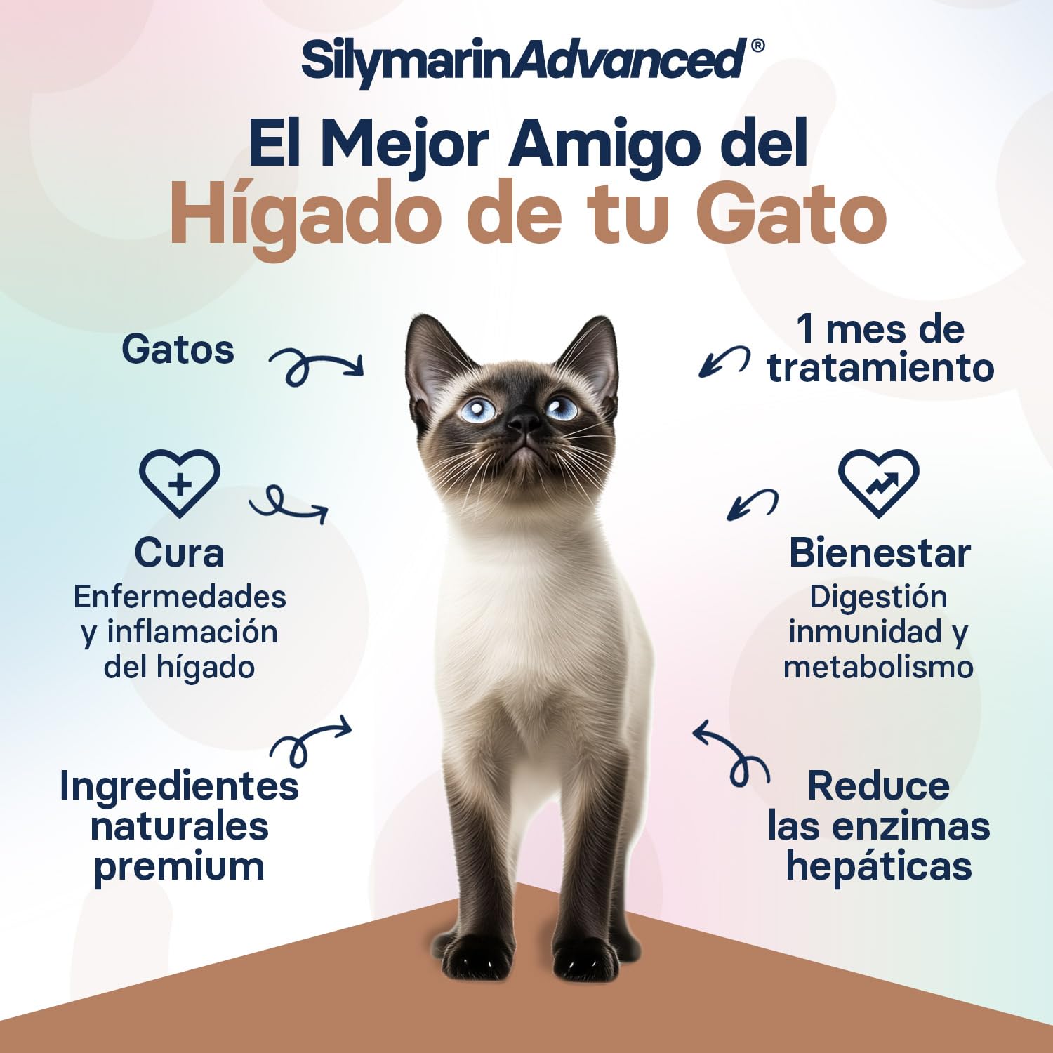 Suplemento Hepático para Gatos - Suplemento de Cardo Mariano para Mejorar la Salud Hepática - con S-Adenosilmetionina (Same) y Silibina - 30 Comprimidos