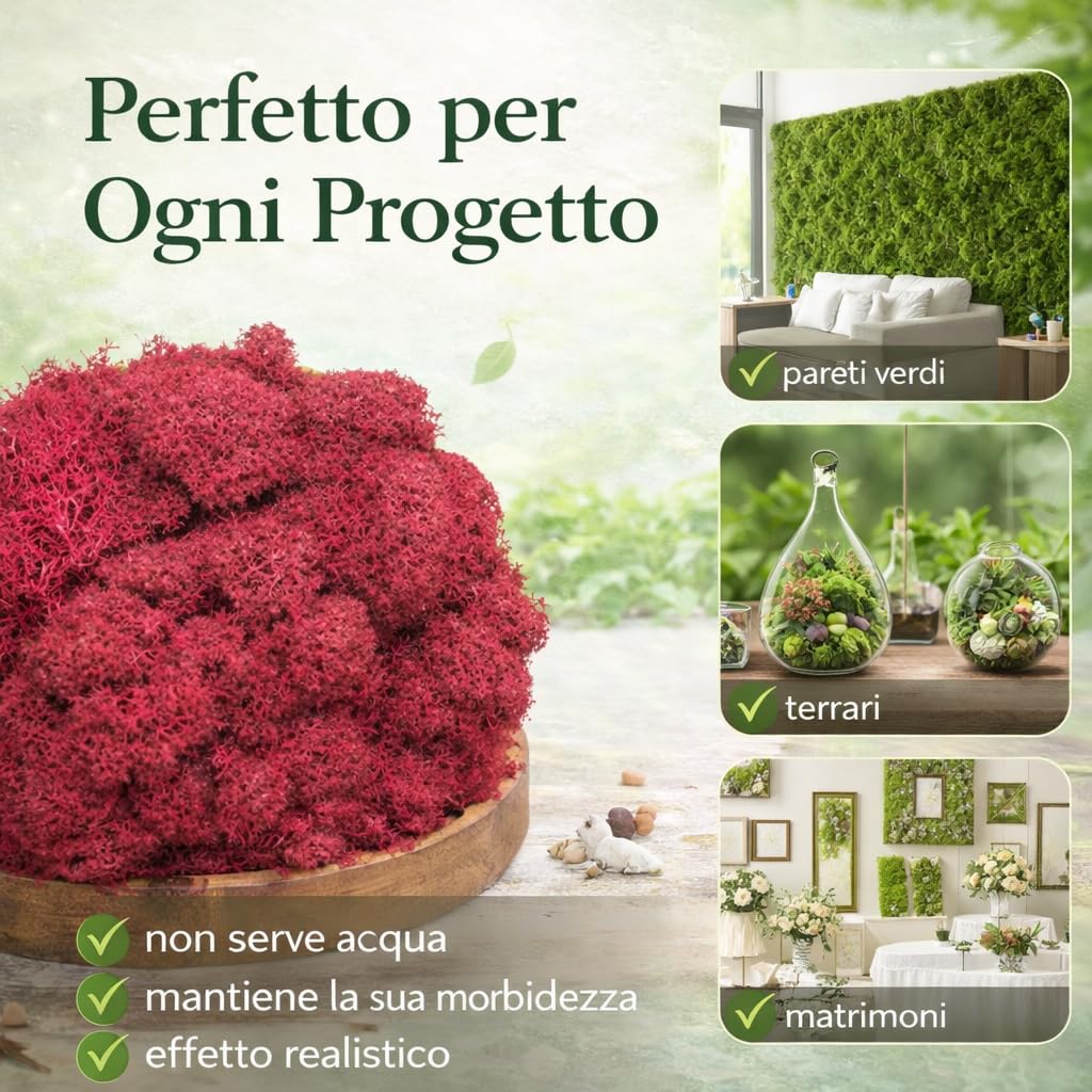 Lichene Stabilizzato Vero 100% Naturale, 500g - Muschio Scandinavo Conservato per Decorazioni - Ideale per Parete Verde, Terrario, Presepi, Modellismo e Composizioni Fai da Te (Blu Scuro, 500g)