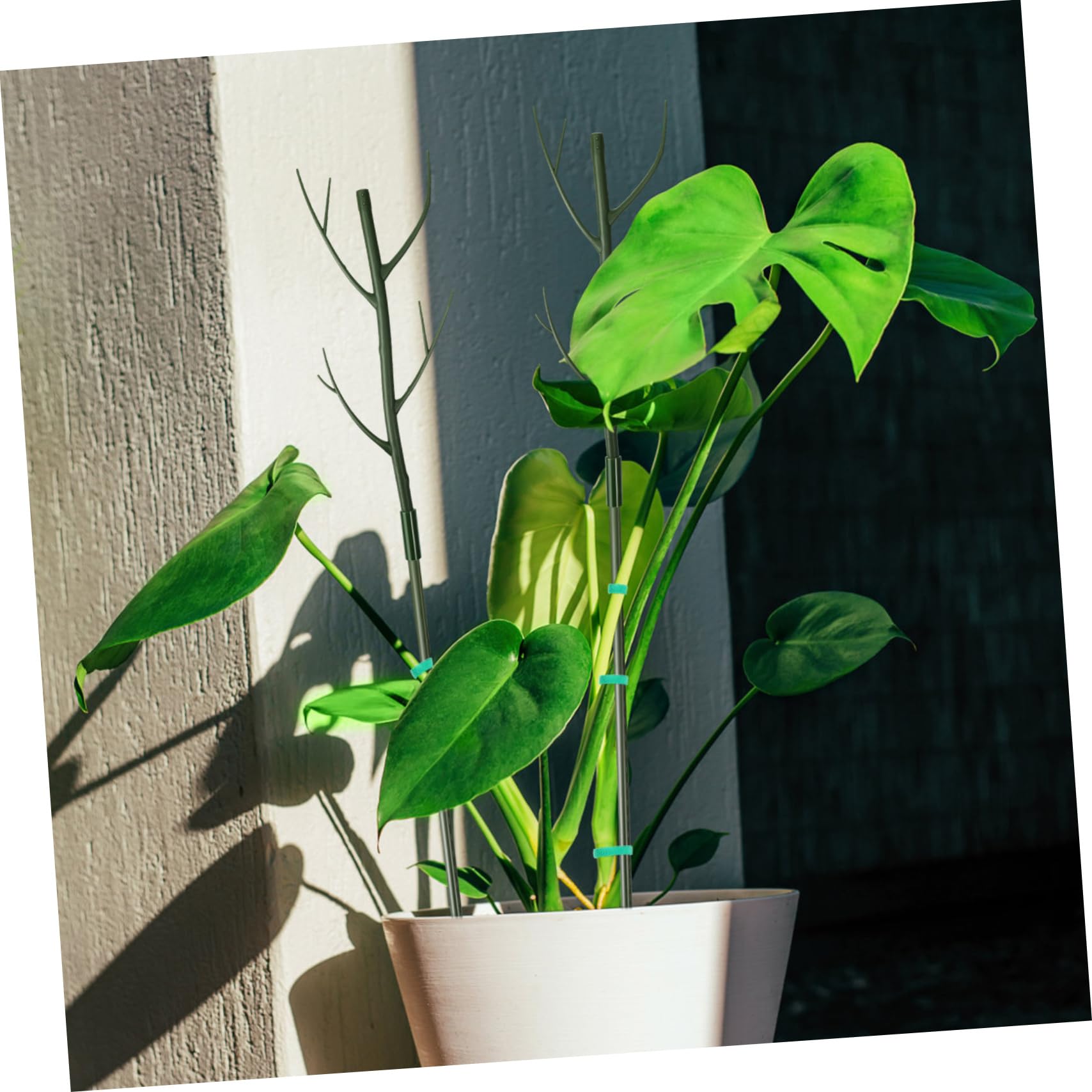 Toyvian Tuteurs de Support pour Plantes Hautes en Plastique Vert Extensibles Installation Facile pour Jardin et Intérieur Lot de 1