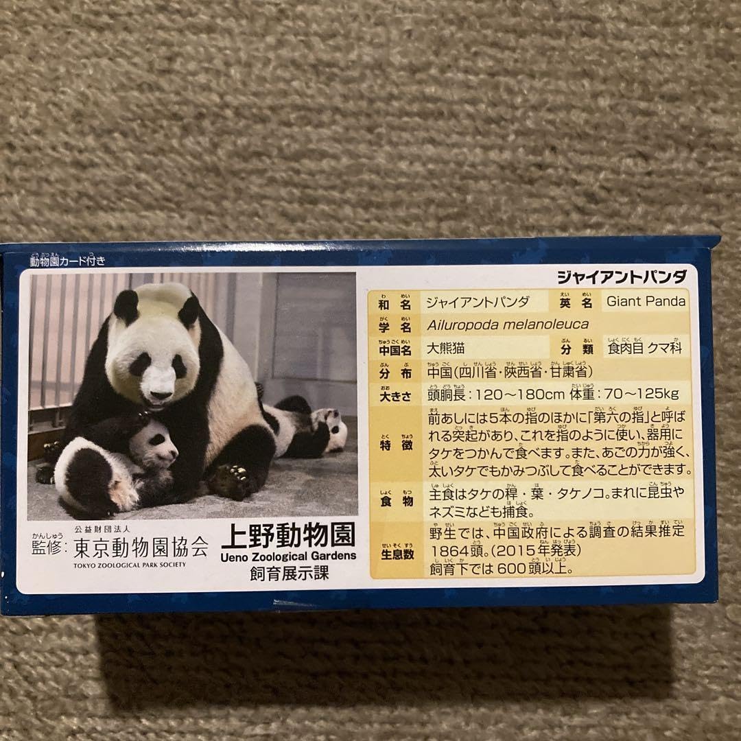 Amazon.co.jp: Ania Ueno Zoo Original Model Giant Panda Z : Home
