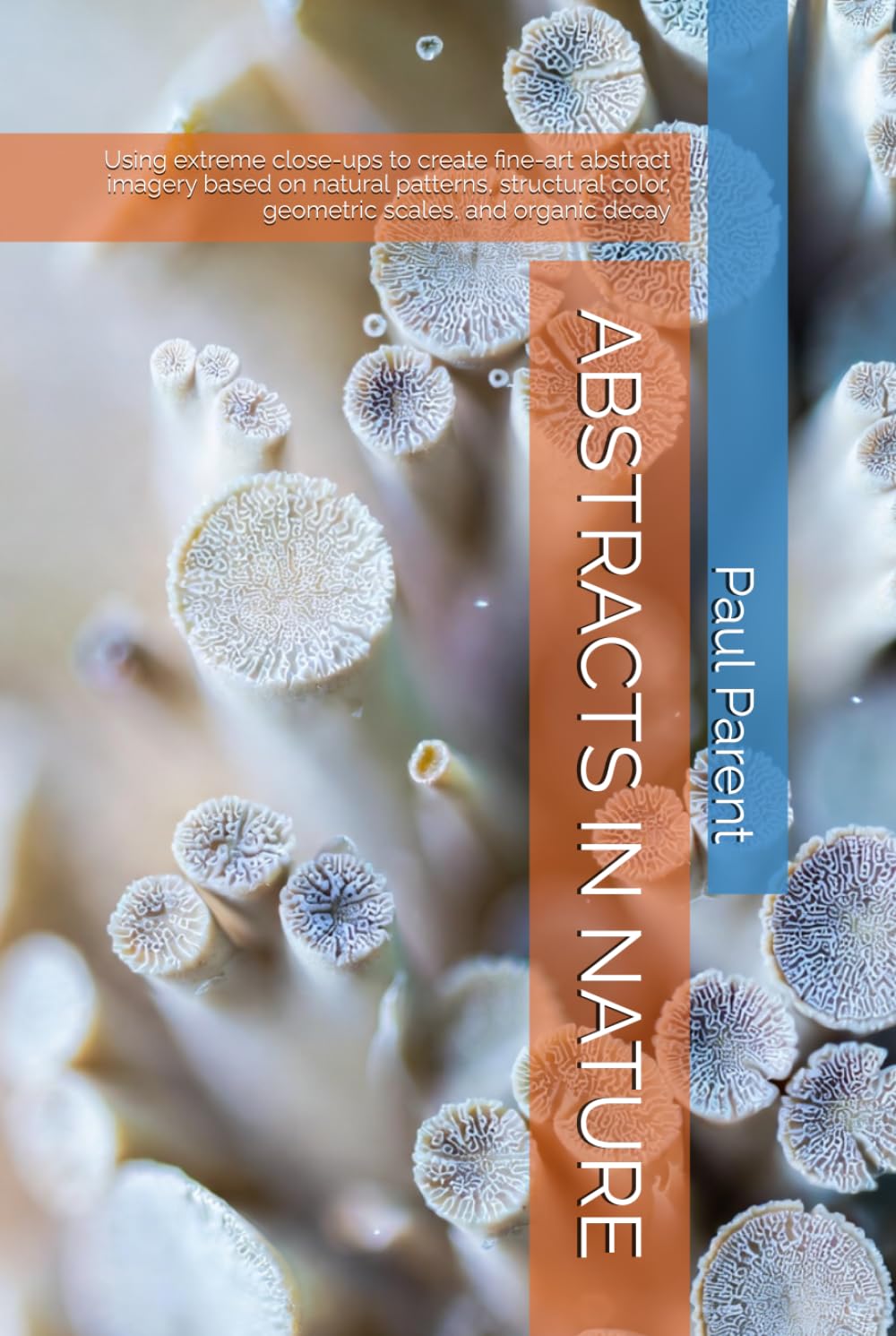 ABSTRACTS IN NATURE: Using extreme close-ups to create fine-art abstract imagery based on natural patterns, structural color, geometric scales, and organic decay