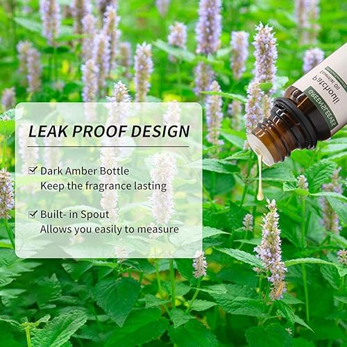 Vista 4 de GREENSLEEVES Juego de aceites esenciales para difusores, canela, limón, naranja, nuez moscada, lima y pachulí, aceites esenciales de aromaterapia