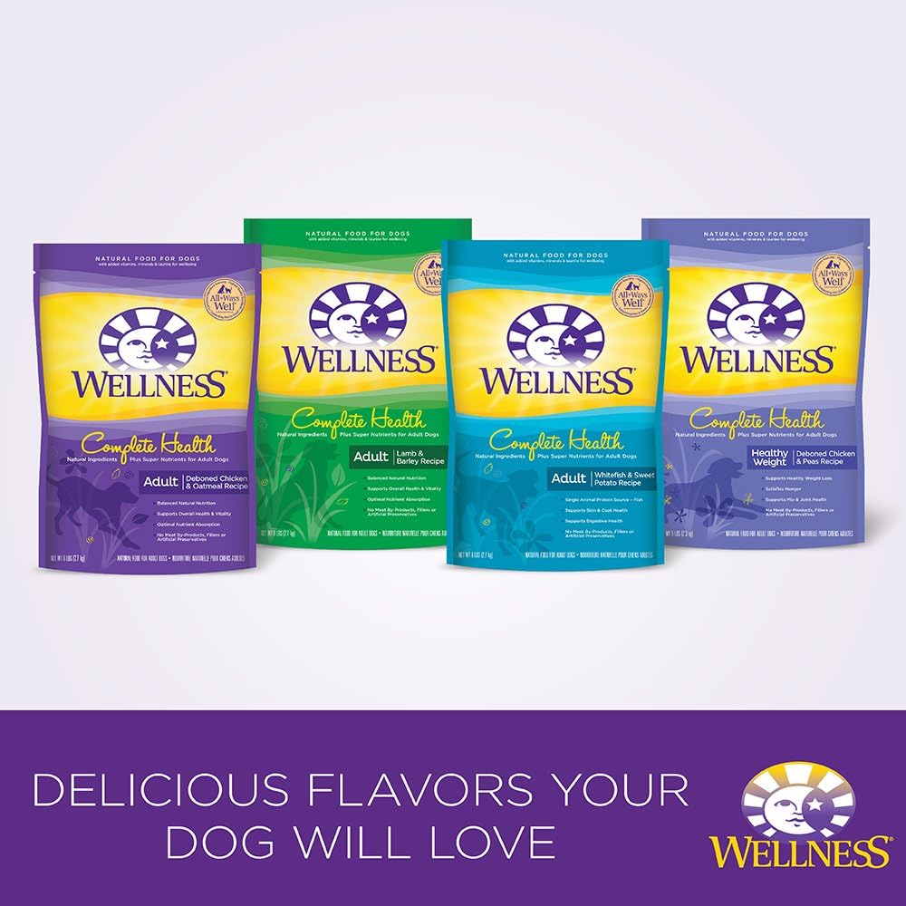 Wellness Complete Health Senior Chicken & Barley Natural Dry Dog Food, 15-Pound Bag