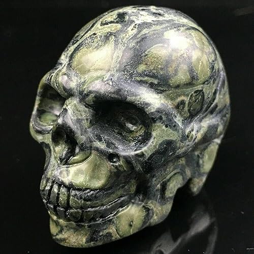 Miniatura 2 de TEAMWILL Calavera tallada de cristal de cuarzo de jaspe kambaba natural de 2 pulgadas para Halloween, regalo potente 1 unidad