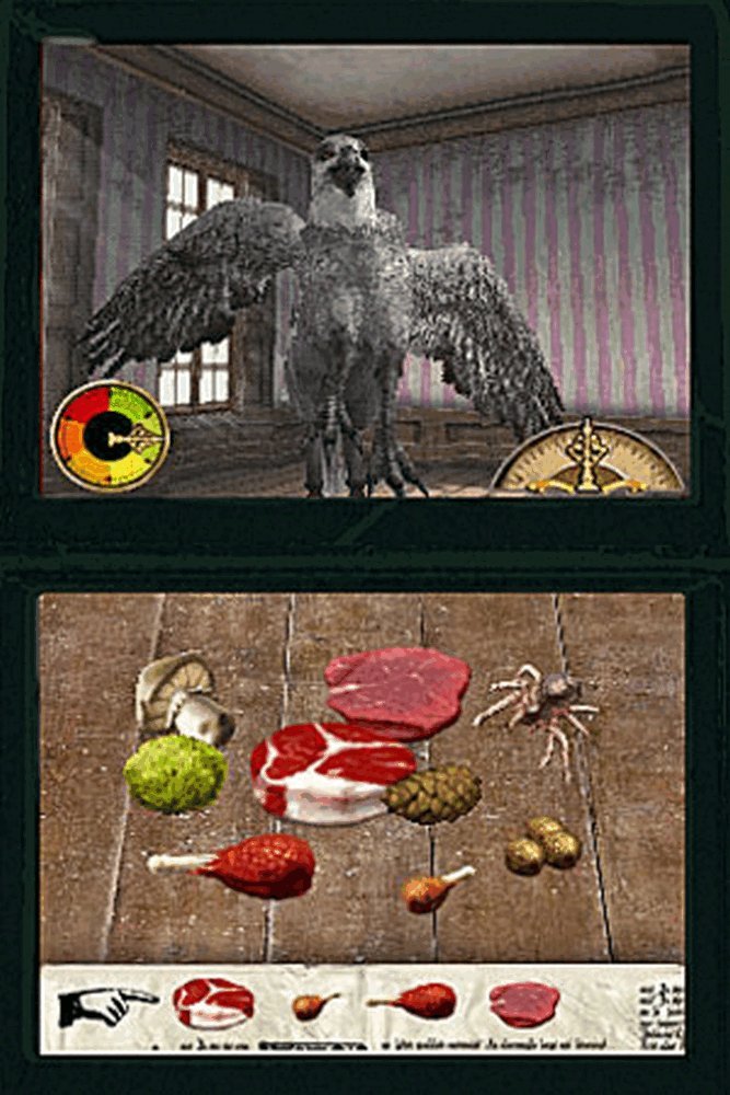 Harry Potter et l'ordre du phénix [Nintendo DS] [Importado de Francia][Importato da Francia]