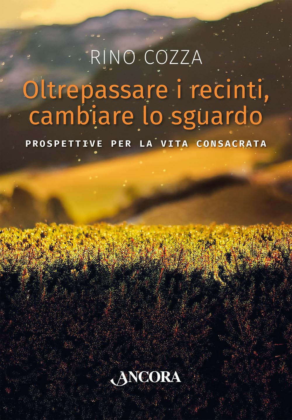 Oltrepassare I Recinti, Cambiare Lo Sguardo. Prospettive Per La Vita Consacrata - 4