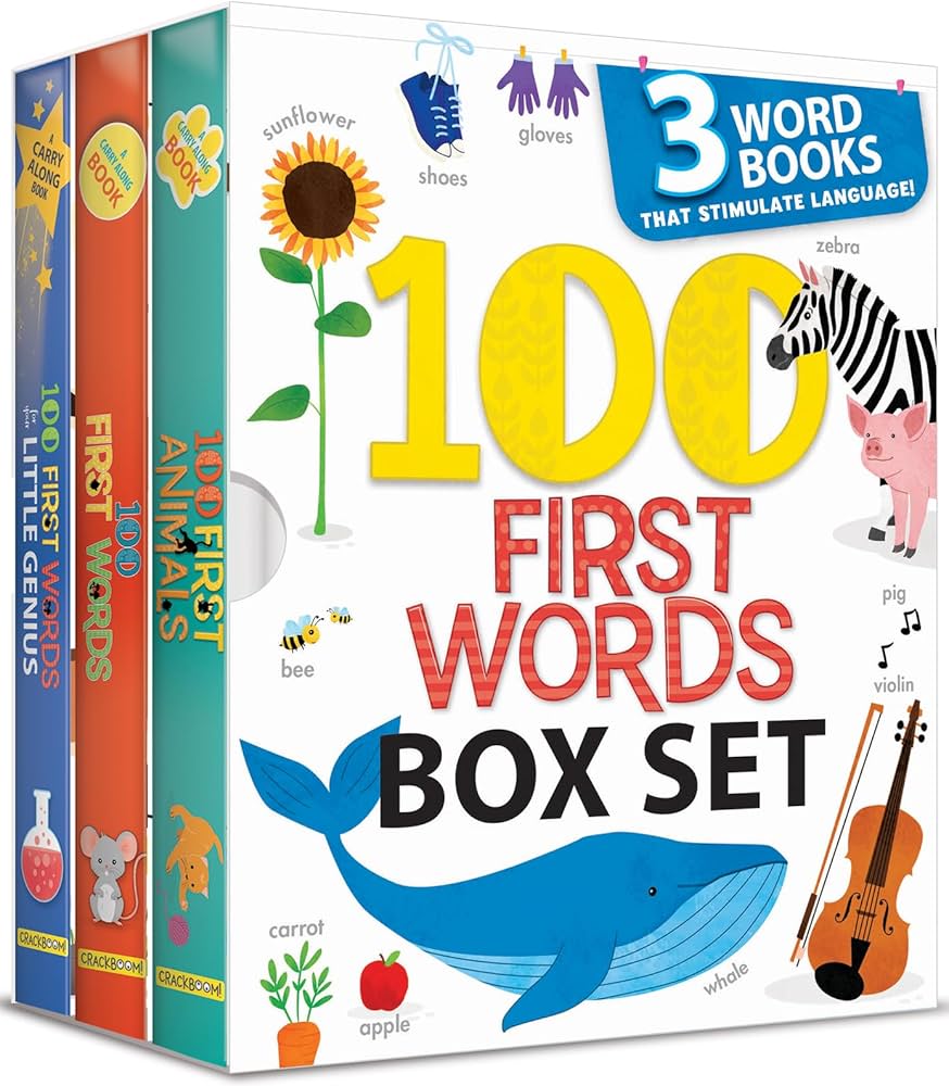 Amazon.com: My First Library 100 Words Book Set: 3 Early Learning