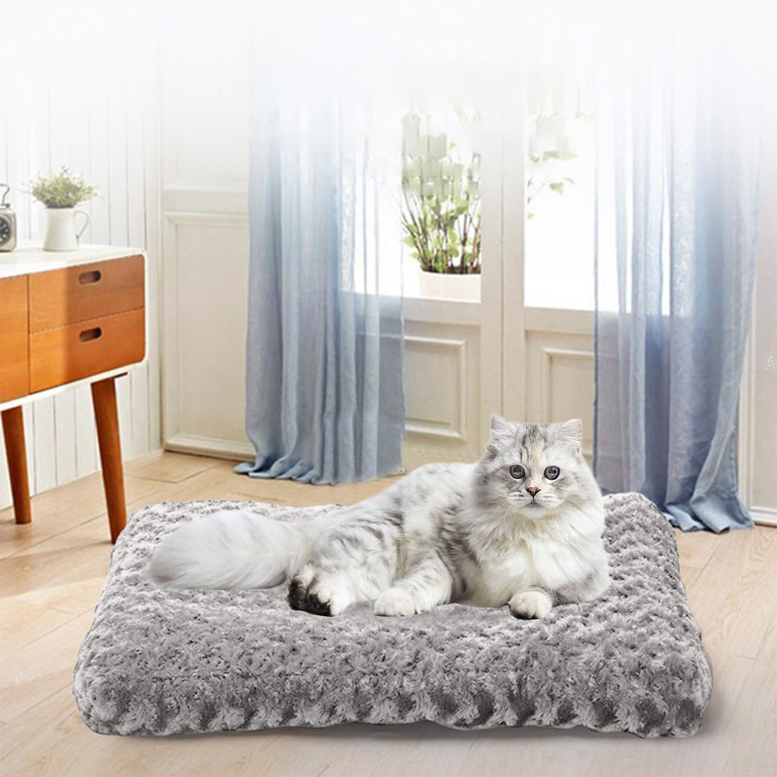 Thickened Dogs Cat Beds for Indoor Calming Dog Beds for Small Dogs Pet Bed Pet Bed Mat Washable