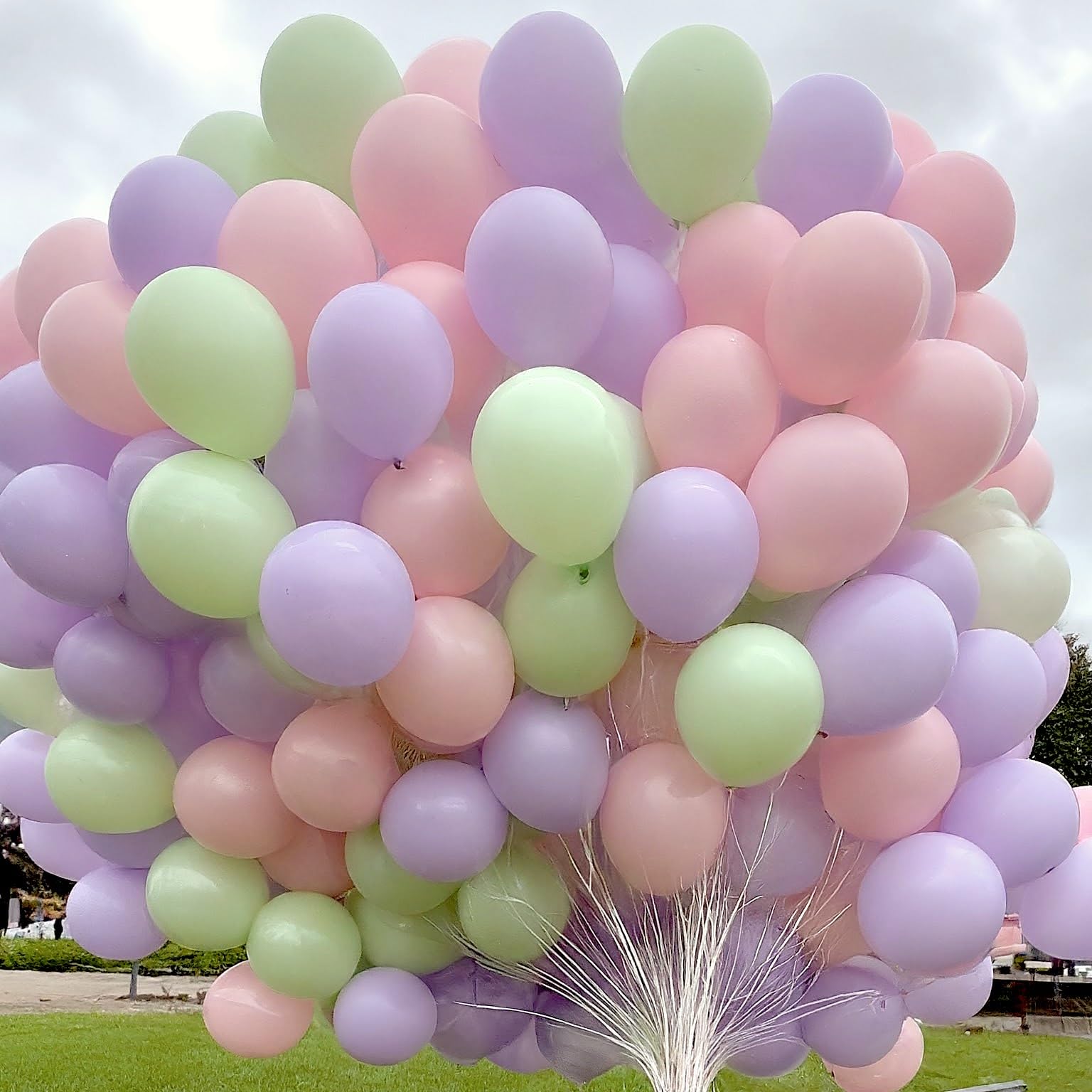 AMFIN (Pack of 50) Pastel Birthday Decoration Item Balloons - Pink, Purple & Green 4