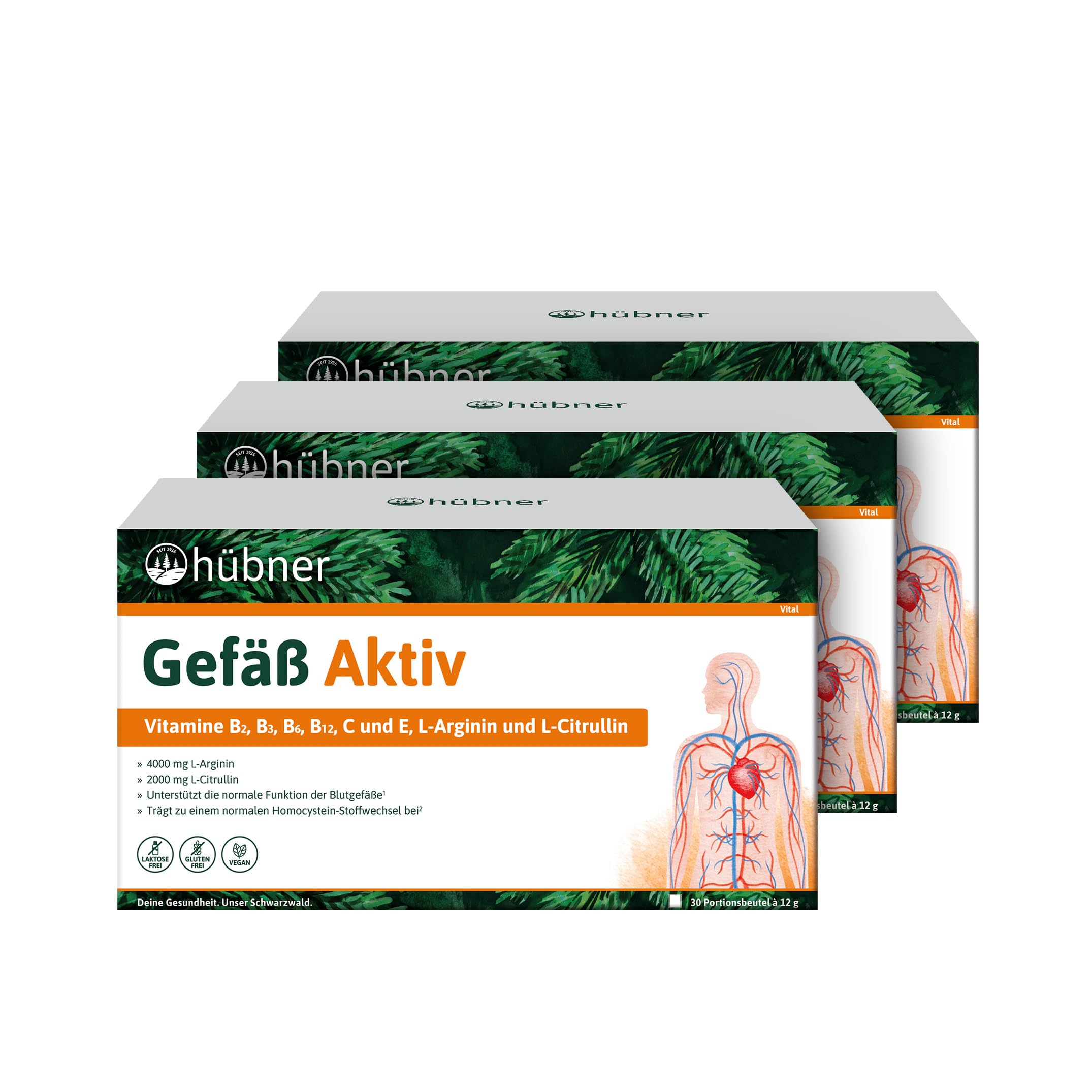 hübner - Gefäß-Aktiv® - Pulver - 3x360g -