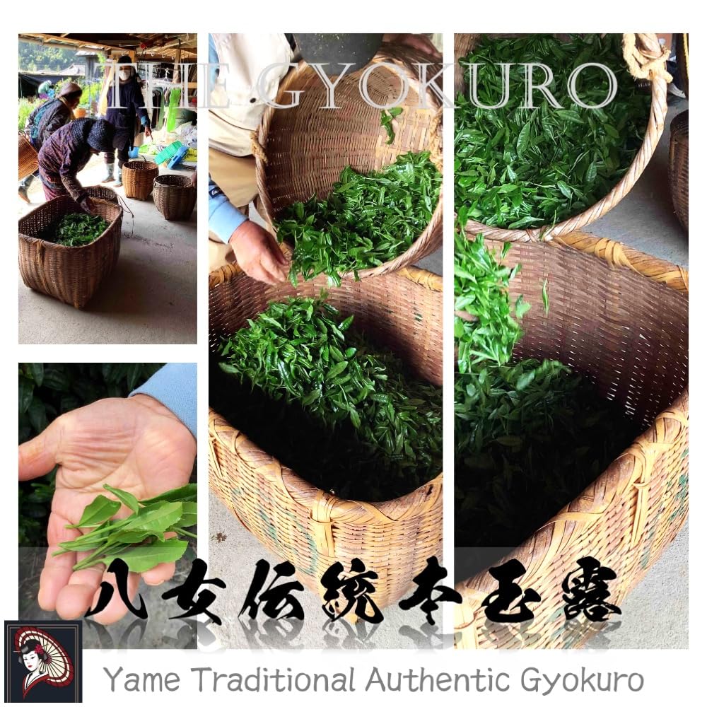 The Gyokuro Ultimate Superior Luxury Gyokuro green tea called Yame Traditional Authentic Gyokuro Carefully selected Direct trade by — view 5