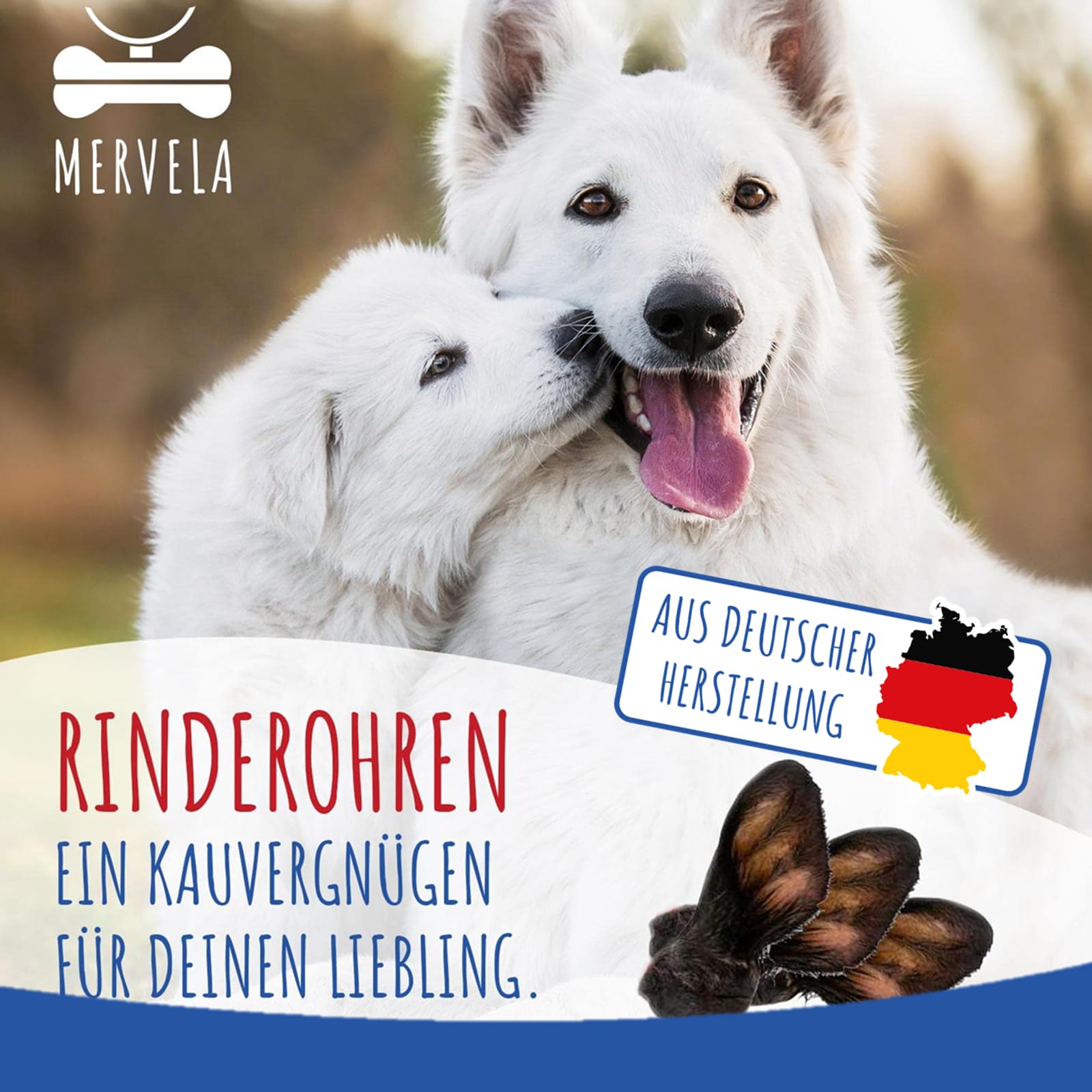 Orejas de vacuno con pelo para perros, 10 unidades, calidad alemana, 100 % naturales, aperitivos masticables secos sin aditivos