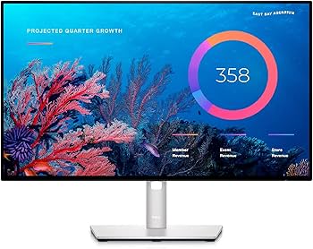 Amazon.com: Dell UltraSharp U2422HE 23.8