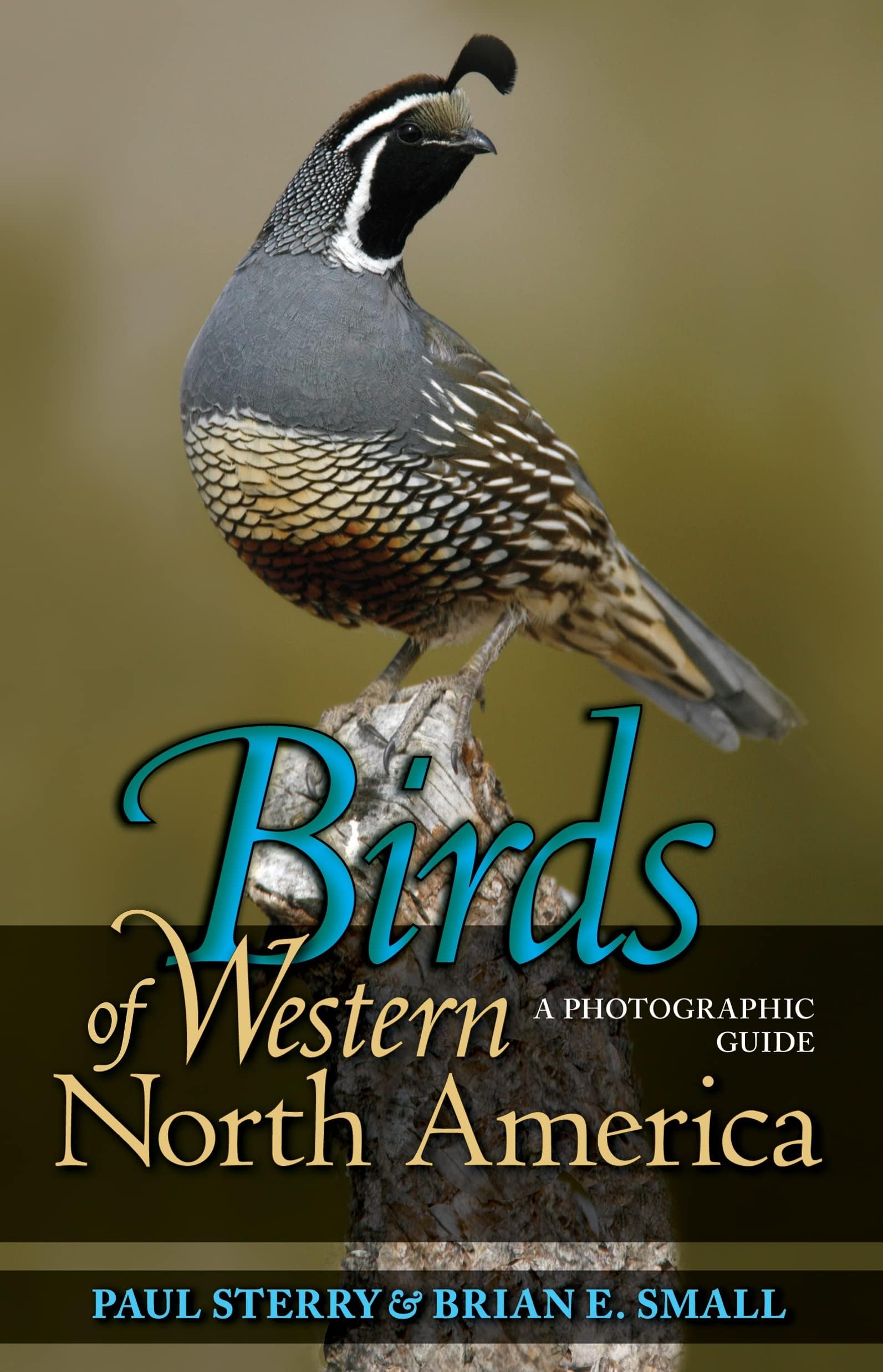 Birds of Western North America: A Photographic Guide (Princeton Field Guides)