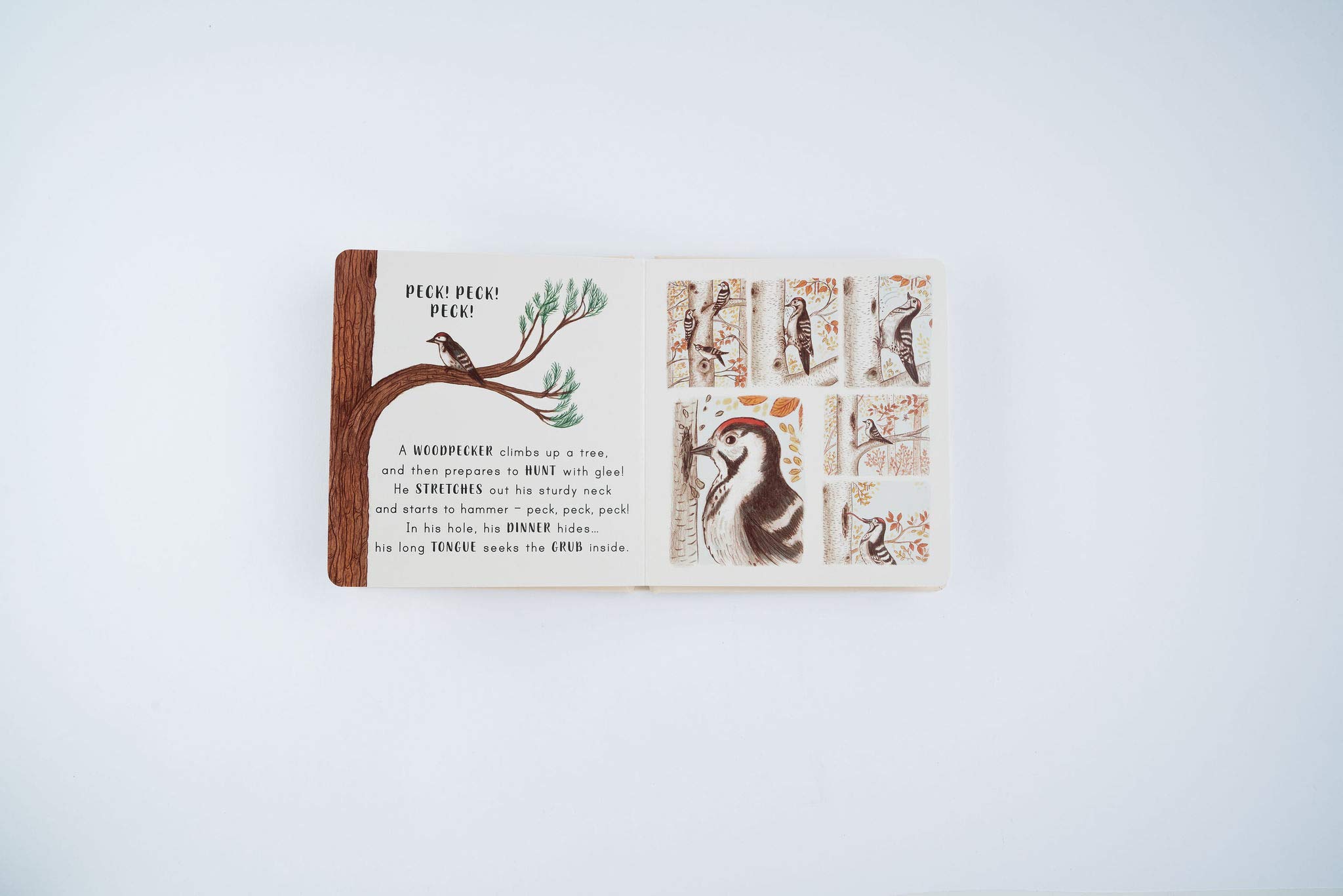 Slow Down… Discover Nature in the Park: Bring calm to Baby's world with 6 mindful nature moments
