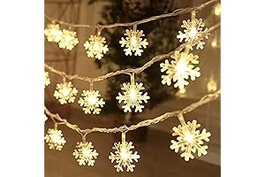 Teen Christmas Decorations for Bedroom: CESOF 20 Ft 40 LED Snowflake String Lights