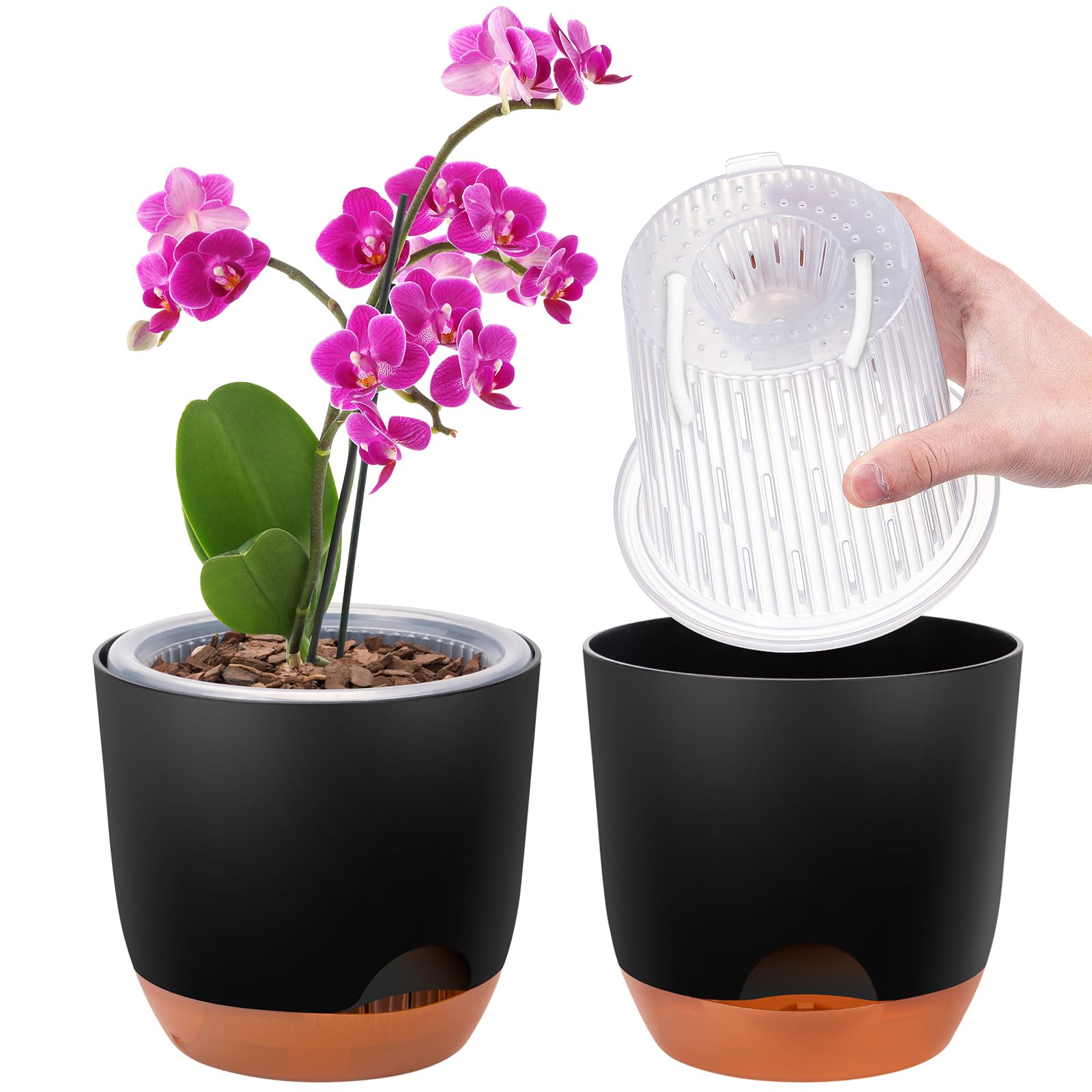 QCQHDU 2er-Set Orchideentopf Groß