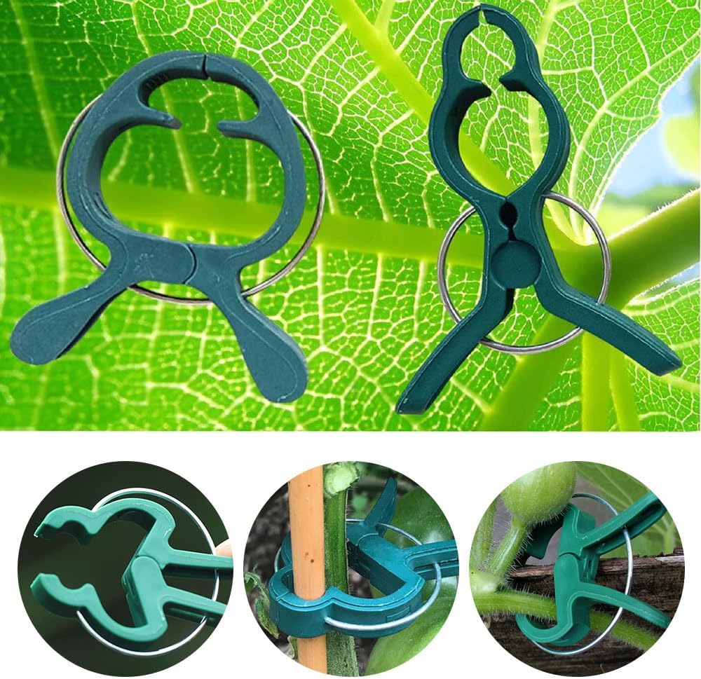 Secured Plastic Plant Clips, Plant Support Clips Plant Clips for Climbing Plants, Plant Fixing Clips Tomato Clips for String Trellis, Garden Clips Vine Fixing Clip Plant Vine Clips (200, B# Large)
